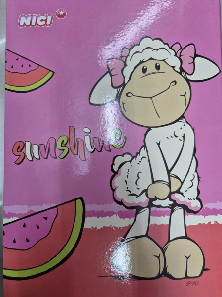 תמונה של קלסר ניקי אבטיח