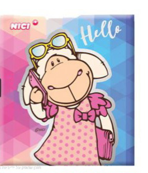 תמונה של קלסר ניילוניות ניקי משקפיים
