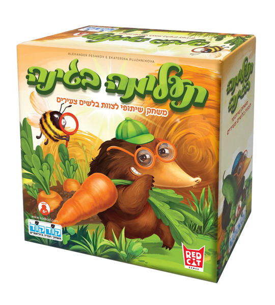 תמונה של משחק תעלומה בגינה קודקוד